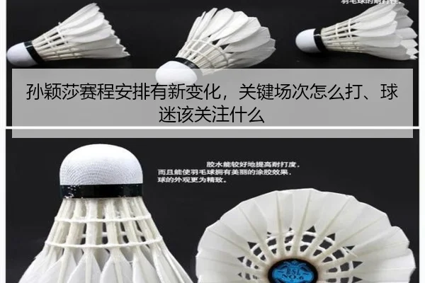 孙颖莎赛程安排有新变化，关键场次怎么打、球迷该关注什么